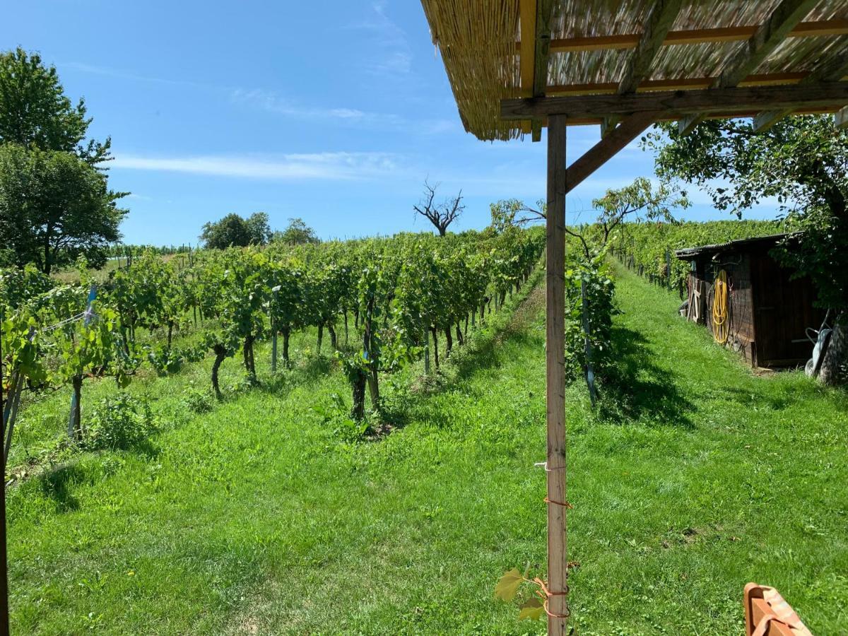 Winten  Urlaub Im Weingarten מראה חיצוני תמונה