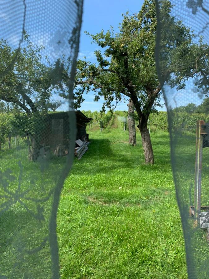 Winten  Urlaub Im Weingarten מראה חיצוני תמונה