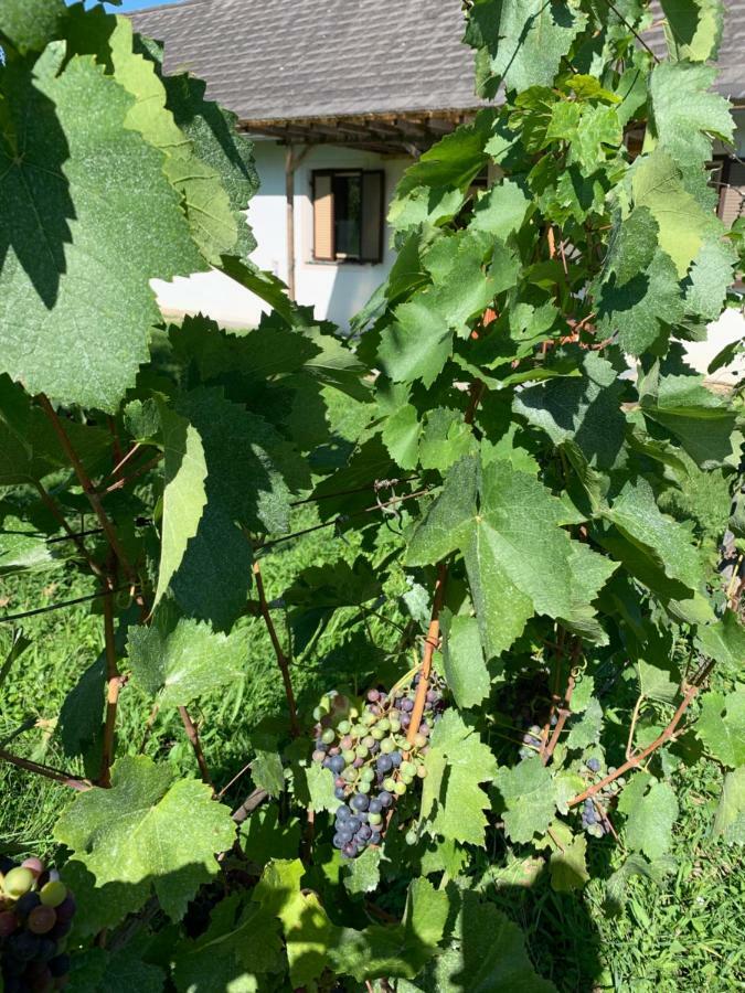 Winten  Urlaub Im Weingarten מראה חיצוני תמונה
