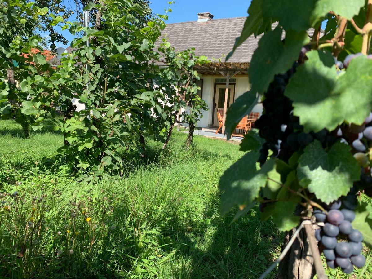 Winten  Urlaub Im Weingarten מראה חיצוני תמונה